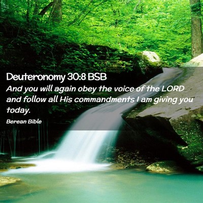 Picture 02 - Deuteronomy 30:8 BSB - And you will again obey the voice of the LORD and - Bible Verse Picture