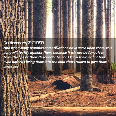 Picture 02 - Deuteronomy 31:21 BSB - And when many troubles and afflictions have come - Bible Verse Picture
