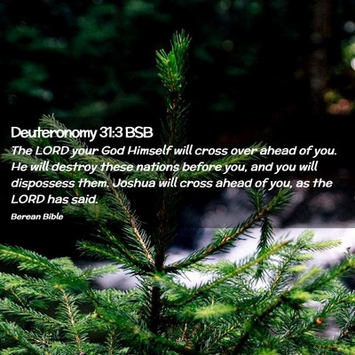 Picture 02 - Deuteronomy 31:3 BSB - The LORD your God Himself will cross over ahead - Bible Verse Picture