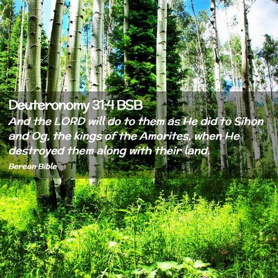 Picture 02 - Deuteronomy 31:4 BSB - And the LORD will do to them as He did to Sihon - Bible Verse Picture