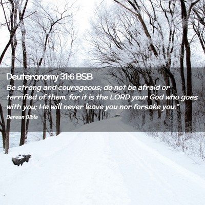 Picture 02 - Deuteronomy 31:6 BSB - Be strong and courageous; do not be afraid or - Bible Verse Picture