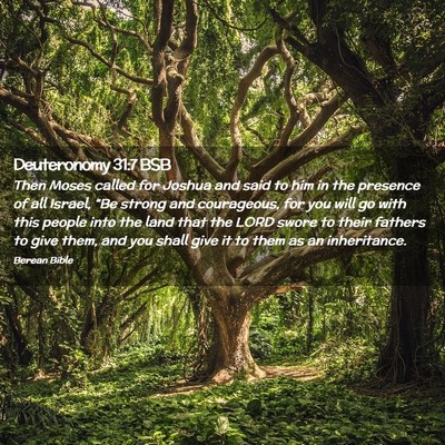 Picture 02 - Deuteronomy 31:7 BSB - Then Moses called for Joshua and said to him in - Bible Verse Picture