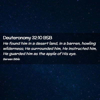 Picture 02 - Deuteronomy 32:10 BSB - He found him in a desert land, in a barren, - Bible Verse Picture