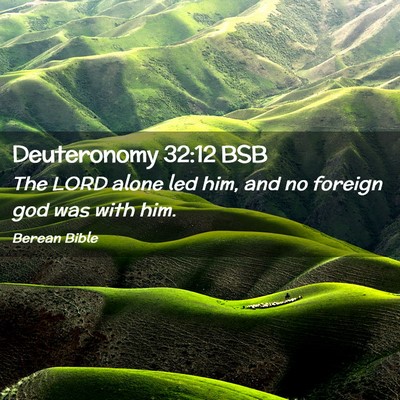 Picture 02 - Deuteronomy 32:12 BSB - The LORD alone led him, and no foreign god was - Bible Verse Picture