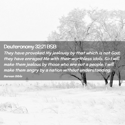 Picture 02 - Deuteronomy 32:21 BSB - They have provoked My jealousy by that which is - Bible Verse Picture