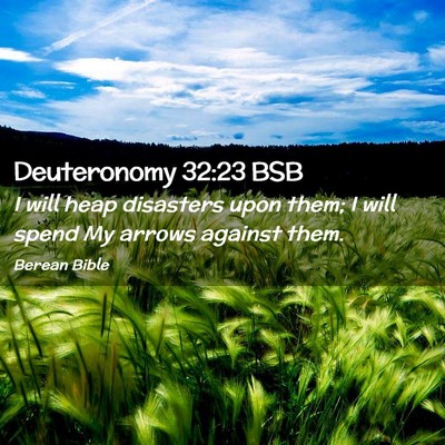 Picture 02 - Deuteronomy 32:23 BSB - I will heap disasters upon them; I will spend My - Bible Verse Picture