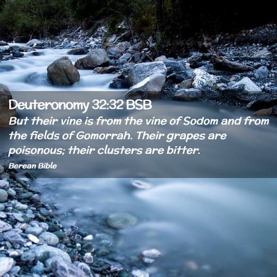 Picture 02 - Deuteronomy 32:32 BSB - But their vine is from the vine of Sodom and from - Bible Verse Picture