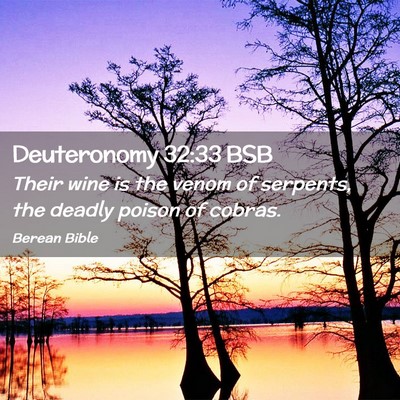 Picture 02 - Deuteronomy 32:33 BSB - Their wine is the venom of serpents, the deadly - Bible Verse Picture