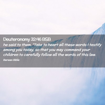 Picture 02 - Deuteronomy 32:46 BSB - he said to them, “Take to heart all these words - Bible Verse Picture