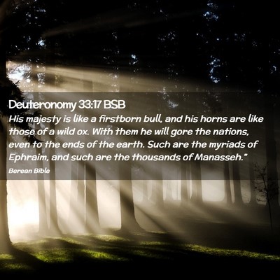Picture 02 - Deuteronomy 33:17 BSB - His majesty is like a firstborn bull, and his - Bible Verse Picture
