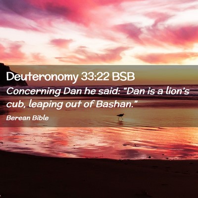 Picture 02 - Deuteronomy 33:22 BSB - Concerning Dan he said: “Dan is a lion’s cub, - Bible Verse Picture
