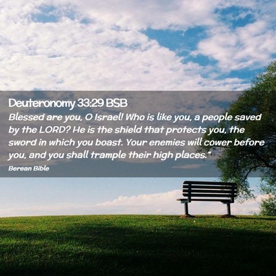 Picture 02 - Deuteronomy 33:29 BSB - Blessed are you, O Israel! Who is like you, a - Bible Verse Picture