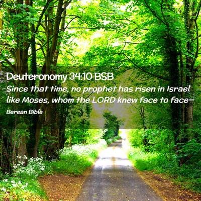 Picture 02 - Deuteronomy 34:10 BSB - Since that time, no prophet has risen in Israel - Bible Verse Picture