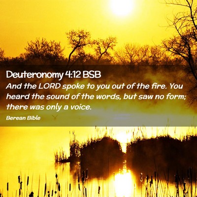 Picture 02 - Deuteronomy 4:12 BSB - And the LORD spoke to you out of the fire. You - Bible Verse Picture