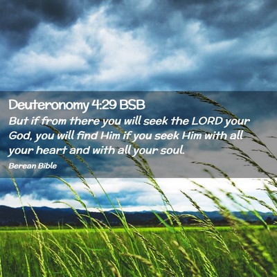 Picture 02 - Deuteronomy 4:29 BSB - But if from there you will seek the LORD your - Bible Verse Picture