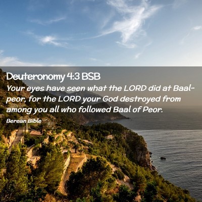 Picture 02 - Deuteronomy 4:3 BSB - Your eyes have seen what the LORD did at - Bible Verse Picture