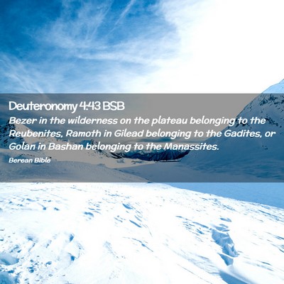 Picture 02 - Deuteronomy 4:43 BSB - Bezer in the wilderness on the plateau belonging - Bible Verse Picture