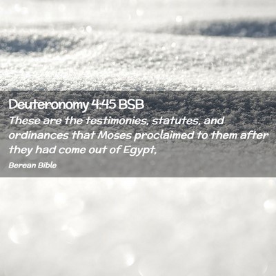 Picture 02 - Deuteronomy 4:45 BSB - These are the testimonies, statutes, and - Bible Verse Picture