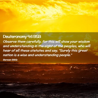 Picture 02 - Deuteronomy 4:6 BSB - Observe them carefully, for this will show your - Bible Verse Picture