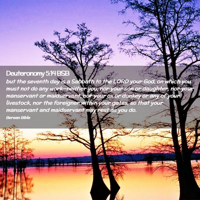 Picture 02 - Deuteronomy 5:14 BSB - but the seventh day is a Sabbath to the LORD your - Bible Verse Picture
