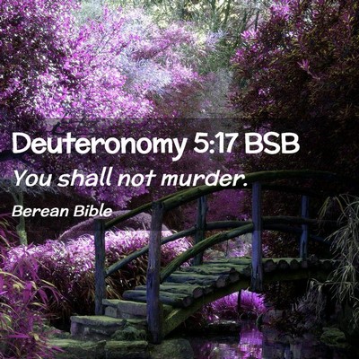 Picture 02 - Deuteronomy 5:17 BSB - You shall not - Bible Verse Picture