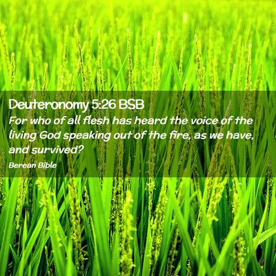 Picture 02 - Deuteronomy 5:26 BSB - For who of all flesh has heard the voice of the - Bible Verse Picture