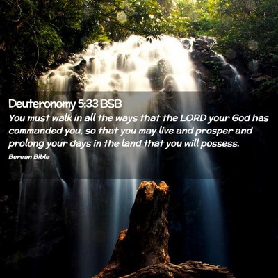 Picture 02 - Deuteronomy 5:33 BSB - You must walk in all the ways that the LORD your - Bible Verse Picture