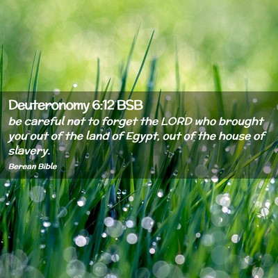 Picture 02 - Deuteronomy 6:12 BSB - be careful not to forget the LORD who brought you - Bible Verse Picture