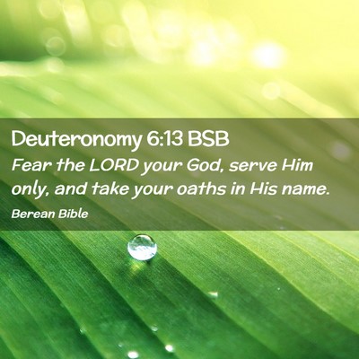 Picture 02 - Deuteronomy 6:13 BSB - Fear the LORD your God, serve Him only, and take - Bible Verse Picture