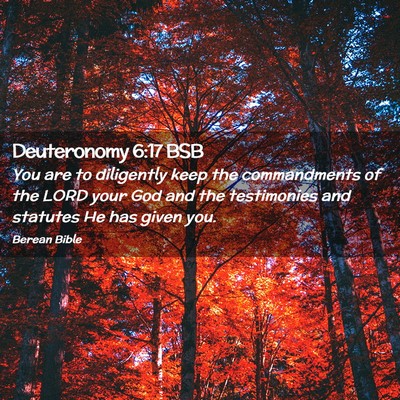 Picture 02 - Deuteronomy 6:17 BSB - You are to diligently keep the commandments of - Bible Verse Picture