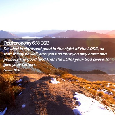 Picture 02 - Deuteronomy 6:18 BSB - Do what is right and good in the sight of the - Bible Verse Picture