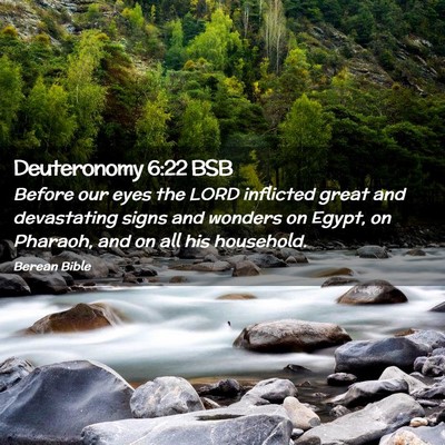 Picture 02 - Deuteronomy 6:22 BSB - Before our eyes the LORD inflicted great and - Bible Verse Picture