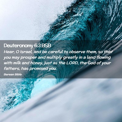 Picture 02 - Deuteronomy 6:3 BSB - Hear, O Israel, and be careful to observe them, - Bible Verse Picture
