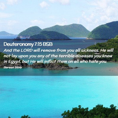 Picture 02 - Deuteronomy 7:15 BSB - And the LORD will remove from you all sickness. - Bible Verse Picture
