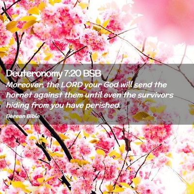 Picture 02 - Deuteronomy 7:20 BSB - Moreover, the LORD your God will send the hornet - Bible Verse Picture
