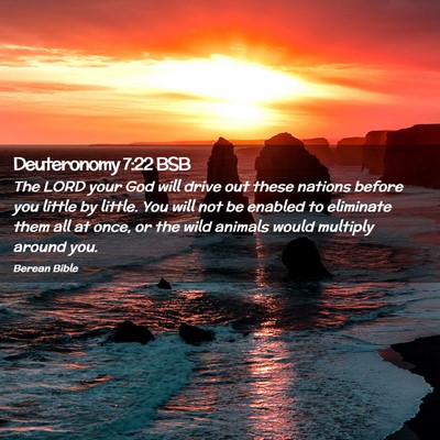 Picture 02 - Deuteronomy 7:22 BSB - The LORD your God will drive out these nations - Bible Verse Picture