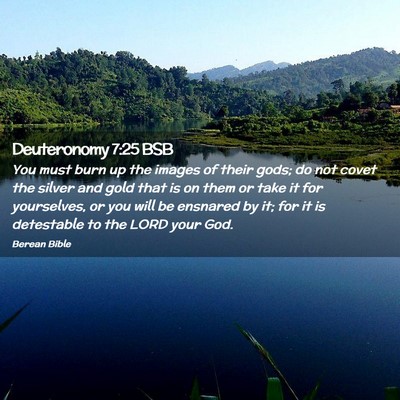 Picture 02 - Deuteronomy 7:25 BSB - You must burn up the images of their gods; do not - Bible Verse Picture