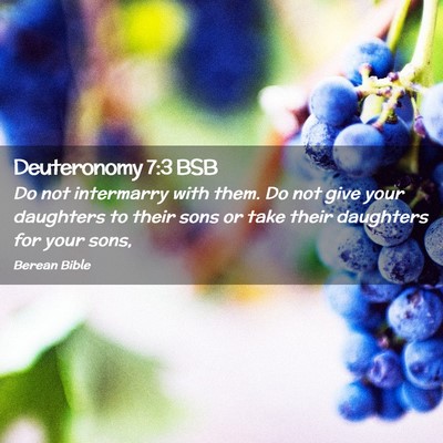 Picture 02 - Deuteronomy 7:3 BSB - Do not intermarry with them. Do not give your - Bible Verse Picture