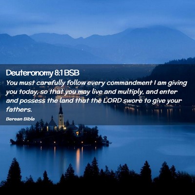 Picture 02 - Deuteronomy 8:1 BSB - You must carefully follow every commandment I am - Bible Verse Picture