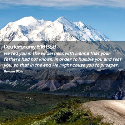 Picture 02 - Deuteronomy 8:16 BSB - He fed you in the wilderness with manna that your - Bible Verse Picture