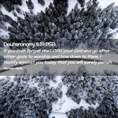 Picture 02 - Deuteronomy 8:19 BSB - If you ever forget the LORD your God and go after - Bible Verse Picture