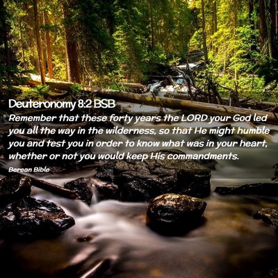 Picture 02 - Deuteronomy 8:2 BSB - Remember that these forty years the LORD your God - Bible Verse Picture