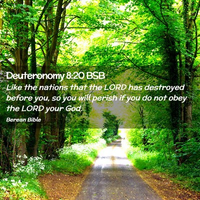 Picture 02 - Deuteronomy 8:20 BSB - Like the nations that the LORD has destroyed - Bible Verse Picture