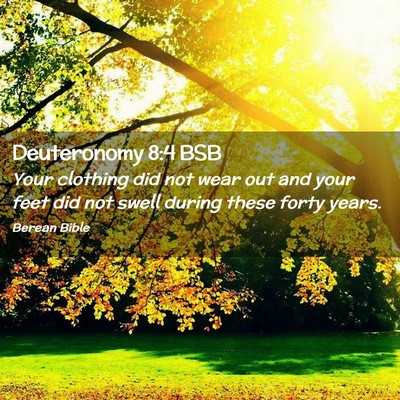 Picture 02 - Deuteronomy 8:4 BSB - Your clothing did not wear out and your feet did - Bible Verse Picture