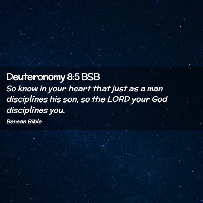 Picture 02 - Deuteronomy 8:5 BSB - So know in your heart that just as a man - Bible Verse Picture