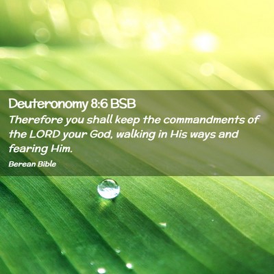 Picture 02 - Deuteronomy 8:6 BSB - Therefore you shall keep the commandments of the - Bible Verse Picture