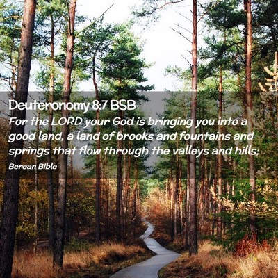 Picture 02 - Deuteronomy 8:7 BSB - For the LORD your God is bringing you into a good - Bible Verse Picture