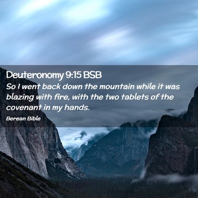 Picture 02 - Deuteronomy 9:15 BSB - So I went back down the mountain while it was - Bible Verse Picture