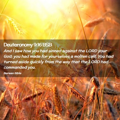 Picture 02 - Deuteronomy 9:16 BSB - And I saw how you had sinned against the LORD - Bible Verse Picture