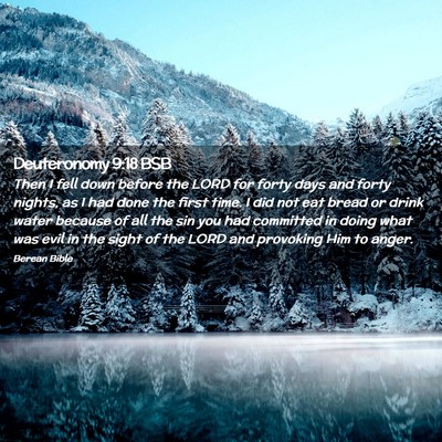 Picture 02 - Deuteronomy 9:18 BSB - Then I fell down before the LORD for forty days - Bible Verse Picture